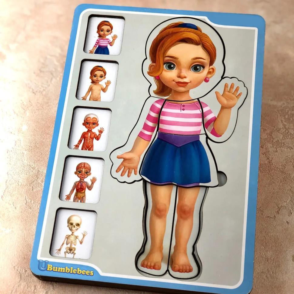 Пазлы деревянные Ubumblebees Анатомия человека девочка телосложение 35 пр. 16х23 см (IP-177-P-1067) Пазлы деревянные Ubumblebees Анатомия человека девочка телосложение 35 пр. 16х23 см (IP-177-P-1067)