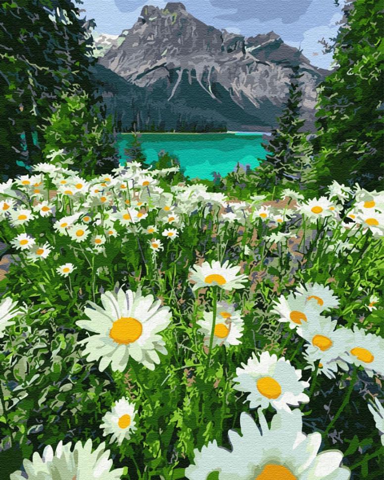 Картина за номерами Brushme Ромашки у гір (GX29451)