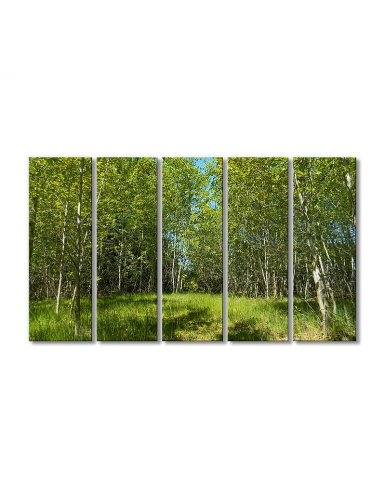 Картина модульная Пейзаж рощи деревьев 5 модулей 120x180 см