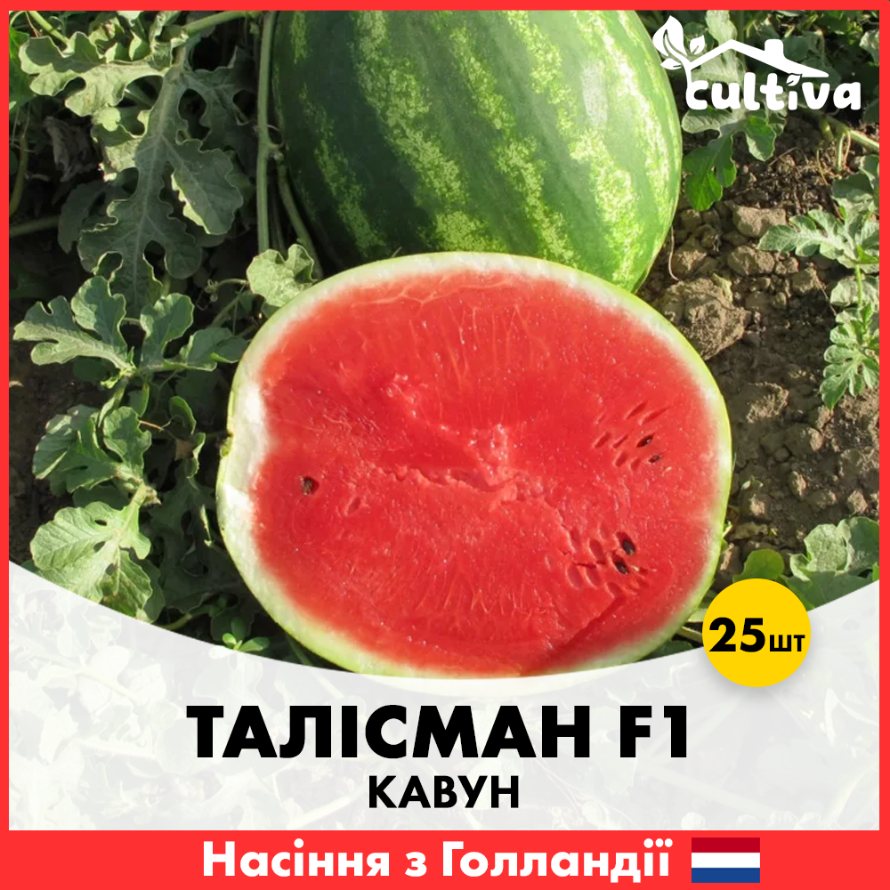 Семена арбуза Nunhems Талисман F1 25 шт. (00146-25)