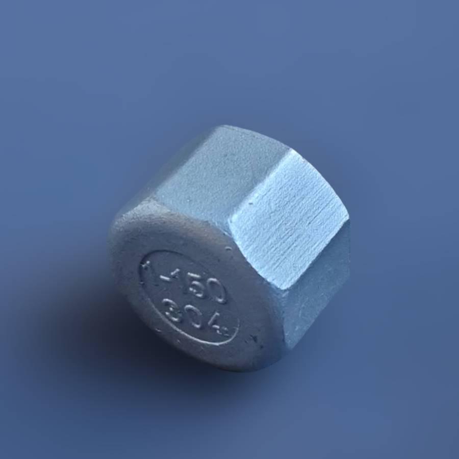 Заглушка різьбова восьмигранна DN25 BSPP н/ж сталь AISI304 Class-150 внутрішня різьба 1" (29203227) - фото 4 Заглушка різьбова восьмигранна DN25 BSPP н/ж сталь AISI304 Class-150 внутрішня різьба 1" (29203227) - фото 4