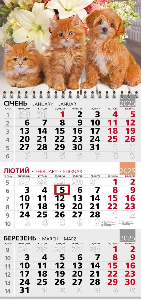 Календар на 2025 р. Офісний 3 Руда трійка