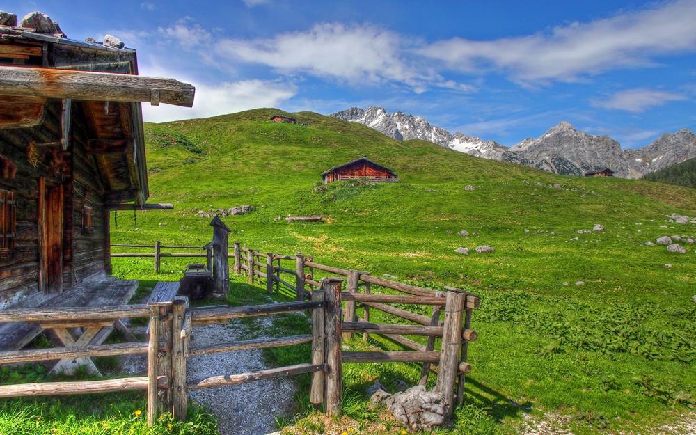 Картина Природа PR130 35х55 см