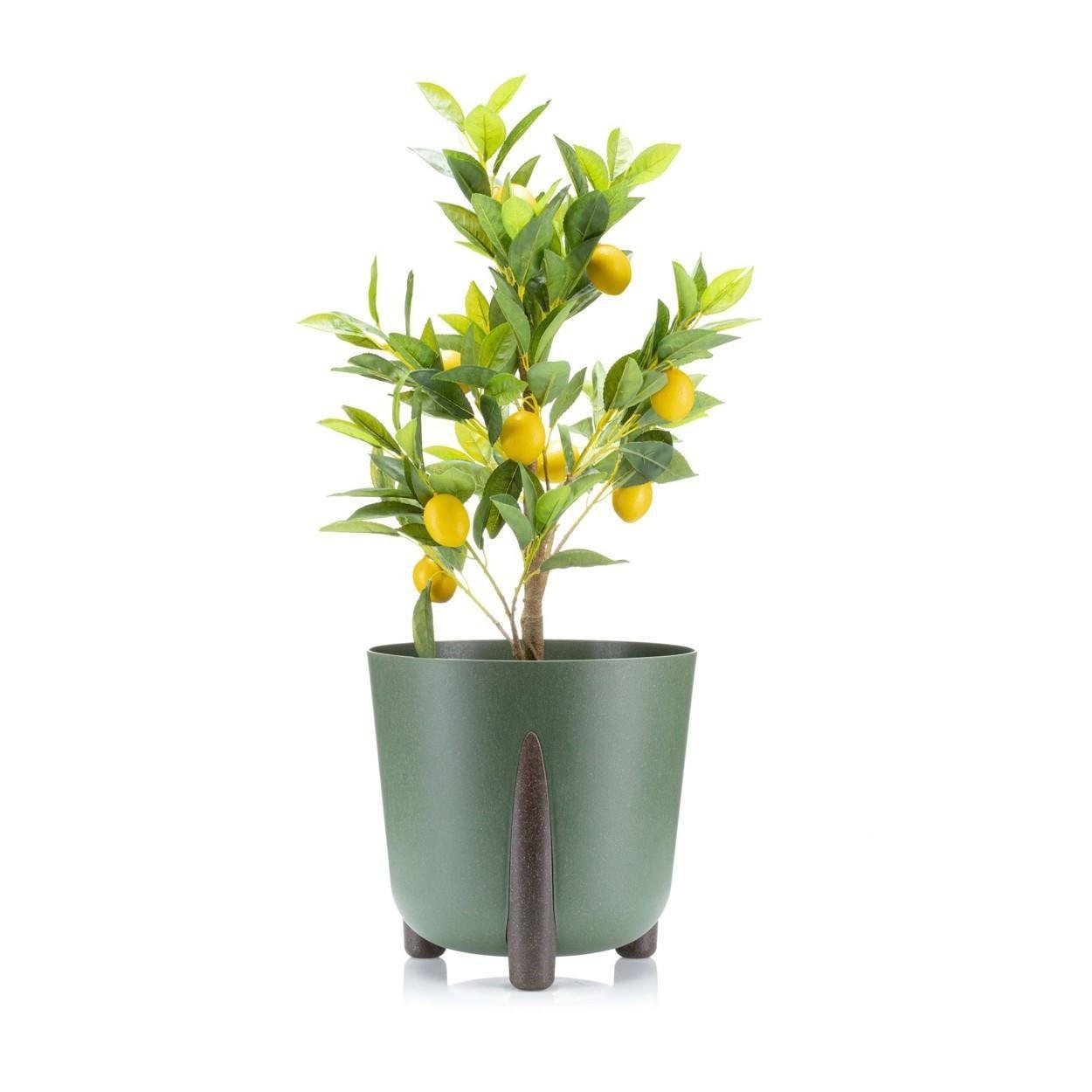 Вазон для цветов Lamela FRIDA 255x255x253 мм Зеленый (25419751863) - фото 4 Вазон для цветов Lamela FRIDA 255x255x253 мм Зеленый (25419751863) - фото 4