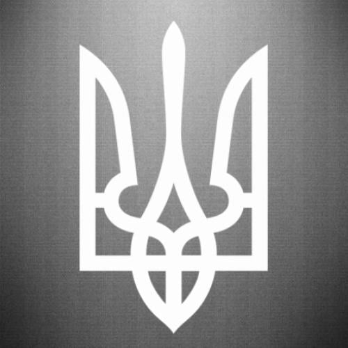 Наклейка Классический Герб Украины 27x45 см Белый (21560467)