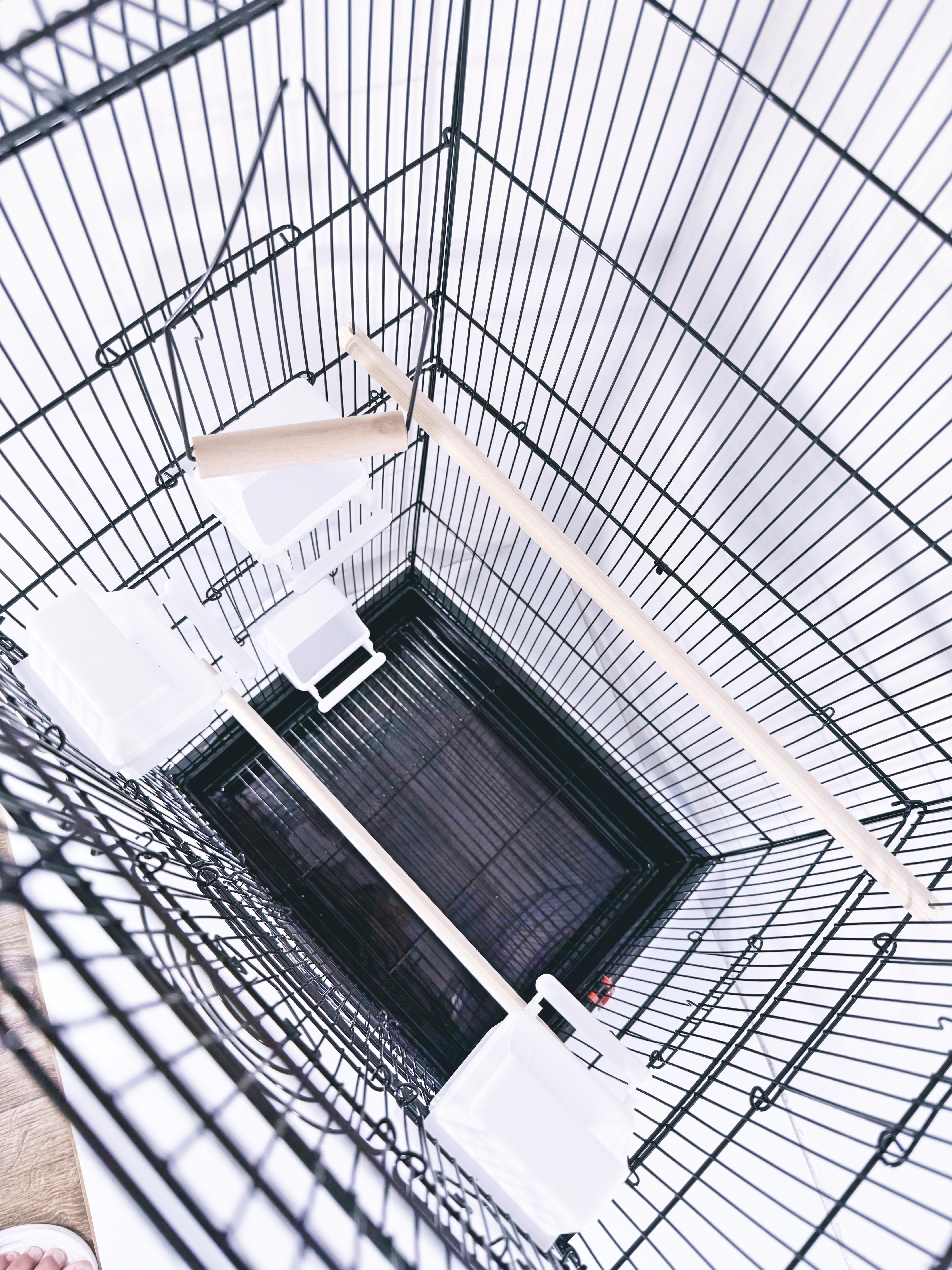 Клетка-вольер для птиц B01 44x33x105 см Черный (28132232) - фото 3 Клетка-вольер для птиц B01 44x33x105 см Черный (28132232) - фото 3