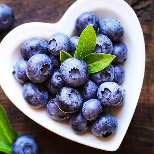 Черника Florium Бонус (11451)