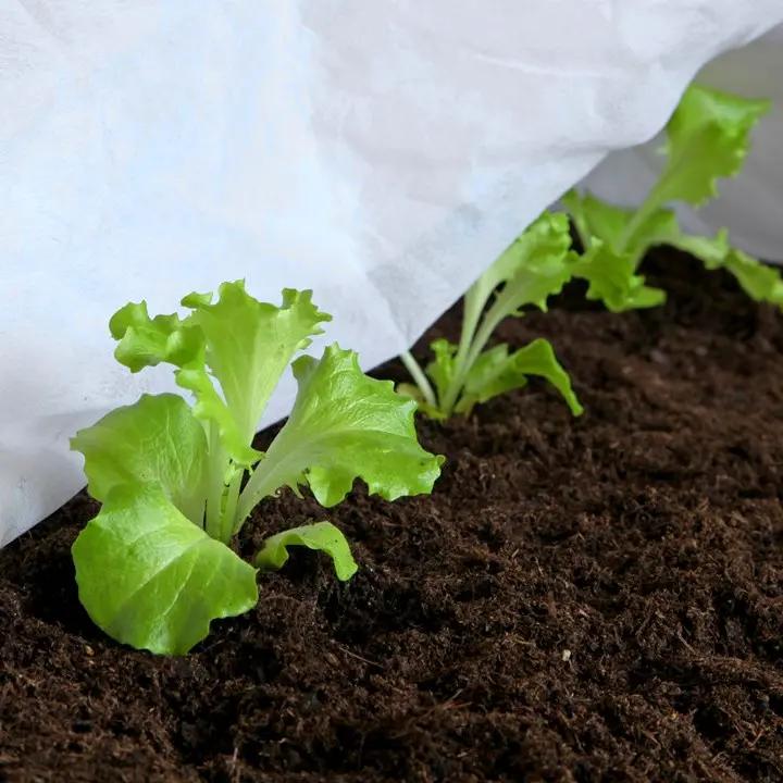 Агроволокно укрывное Love&Home 23 г/м2 1,6х10 м в пакетах (2AG23_1610) - фото 7 Агроволокно укрывное Love&Home 23 г/м2 1,6х10 м в пакетах (2AG23_1610) - фото 7