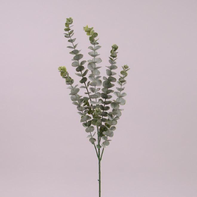 Веточка Flora Эвкалипта (73199)