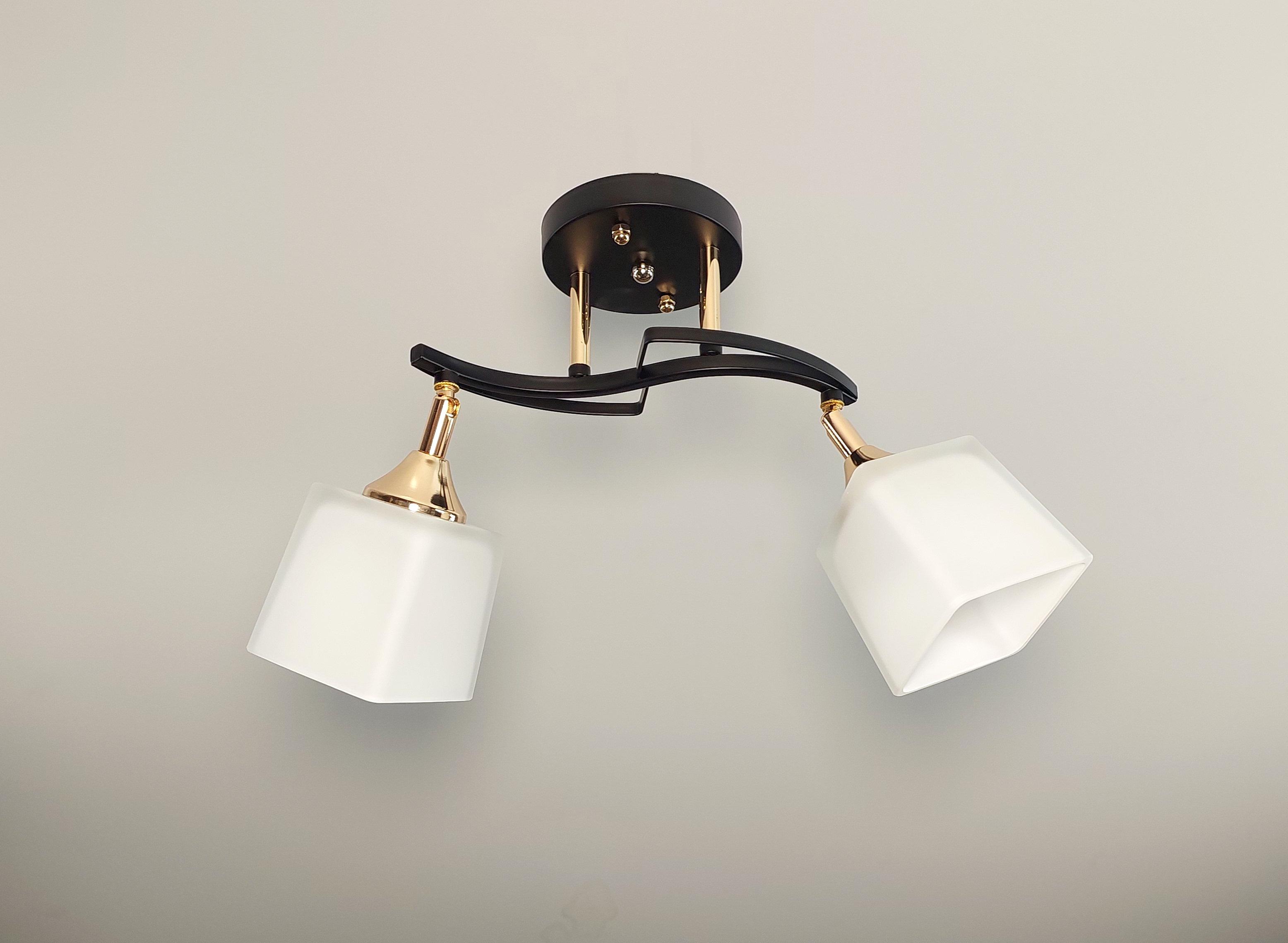 Люстра потолочная 2 поворотных плафона Черный (3035/2) Люстра потолочная 2 поворотных плафона Черный (3035/2)