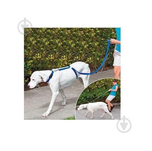 Ошейник для собак Instant Trainer Leash Синий (vol-600) - фото 3