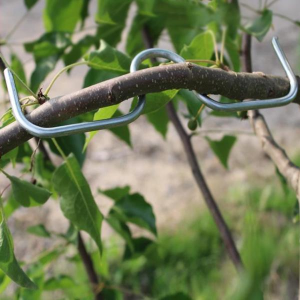 Опоры для веток деревьев металлические M00573-2 18 шт. - фото 7 Опоры для веток деревьев металлические M00573-2 18 шт. - фото 7