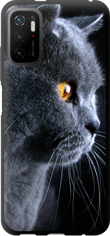 Чохол на Xiaomi Redmi Note 10 5G Гарний кіт (3038b-2556-42517)