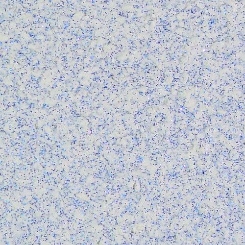 Рідкі шпалери Екобарви 3.03 Блиск целюлоза Білий (11-3.03)