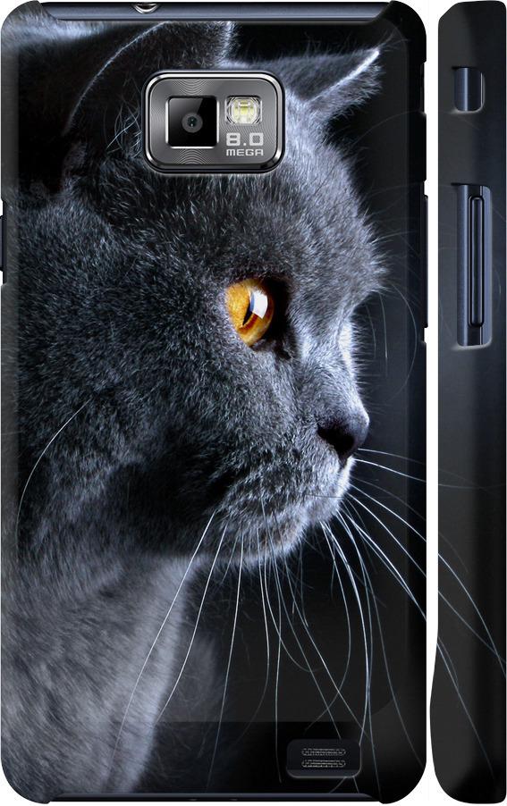 Чехол на Samsung Galaxy S2 i9100 Красивый кот (3038c-14-42517)