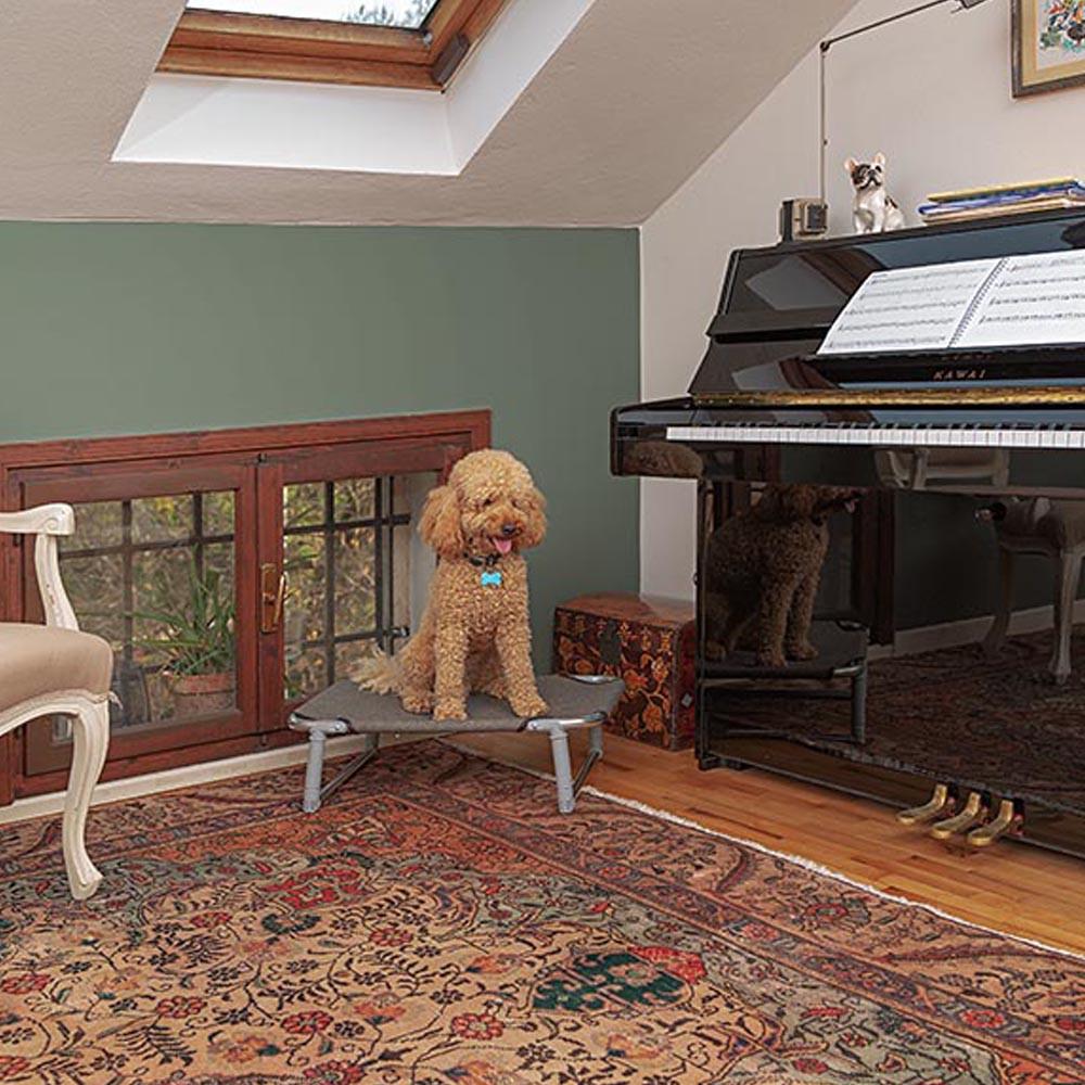 Лежак для собак Ferplast Dream 60 раскладной 62х44х7 см до 10 кг (70504989) - фото 4 Лежак для собак Ferplast Dream 60 раскладной 62х44х7 см до 10 кг (70504989) - фото 4