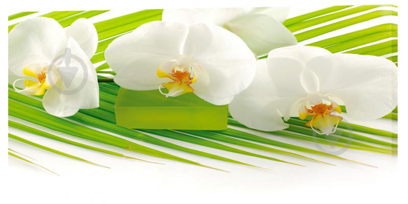 Картина на холсте Декор Карпаты Цветы 50х100 см (C927)