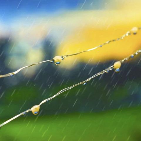 Гирлянда солнечная LED 15м/150 диодов/IP44/8 режимов для сада и террасы - фото 10 Гирлянда солнечная LED 15м/150 диодов/IP44/8 режимов для сада и террасы - фото 10