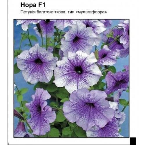 Семена цветов Петуния Нора F1 Частный дом Центр 10 шт. (SZ-0936)