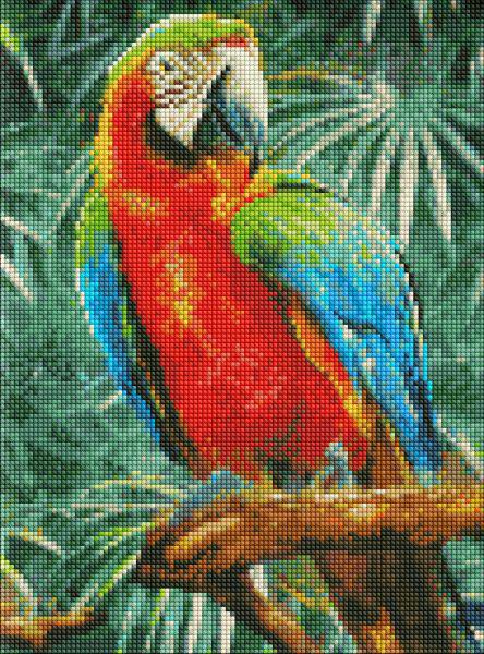 Алмазная мозаика Идейка Радужный красавец 30x40 см (Id-AMO7492)