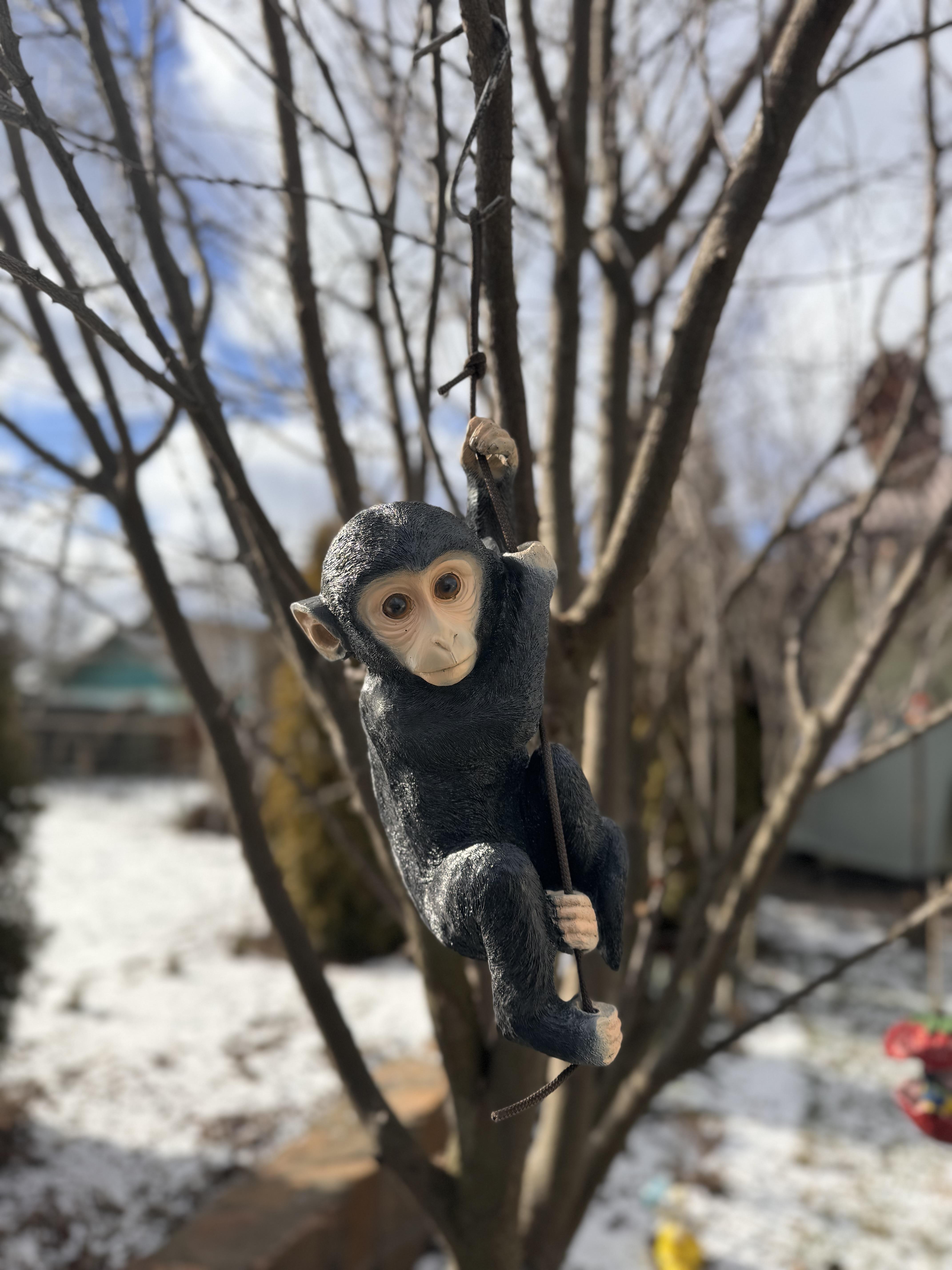 Садова фігура Мавпа на мотузці Чорний