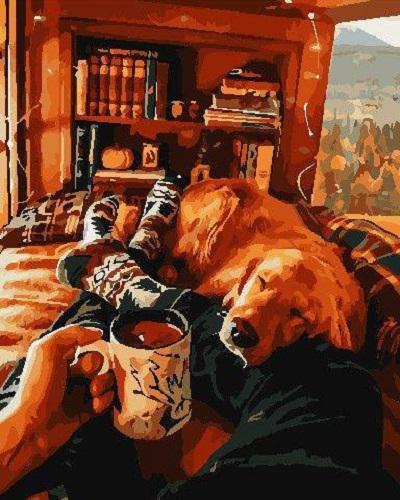 Картина по номерам Art Story Вечер с другом 40x50 см (AS0736)