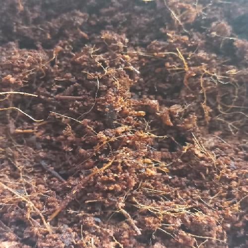 Субстрат для растений торф кокосовый разрыхленный 1 л (00064) - фото 2 Субстрат для растений торф кокосовый разрыхленный 1 л (00064) - фото 2