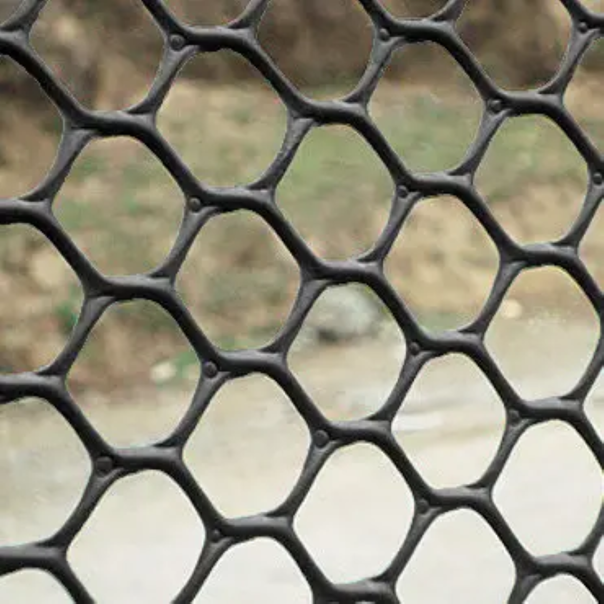 Сітка садова Fusion від кротів пластик 6х8 мм 2х30 м (14116380) - фото 3 Сітка садова Fusion від кротів пластик 6х8 мм 2х30 м (14116380) - фото 3