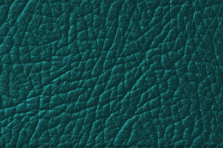 Краска для натуральной и искусственной кожи Leather Expert Colourant 50 г 602 Green Night