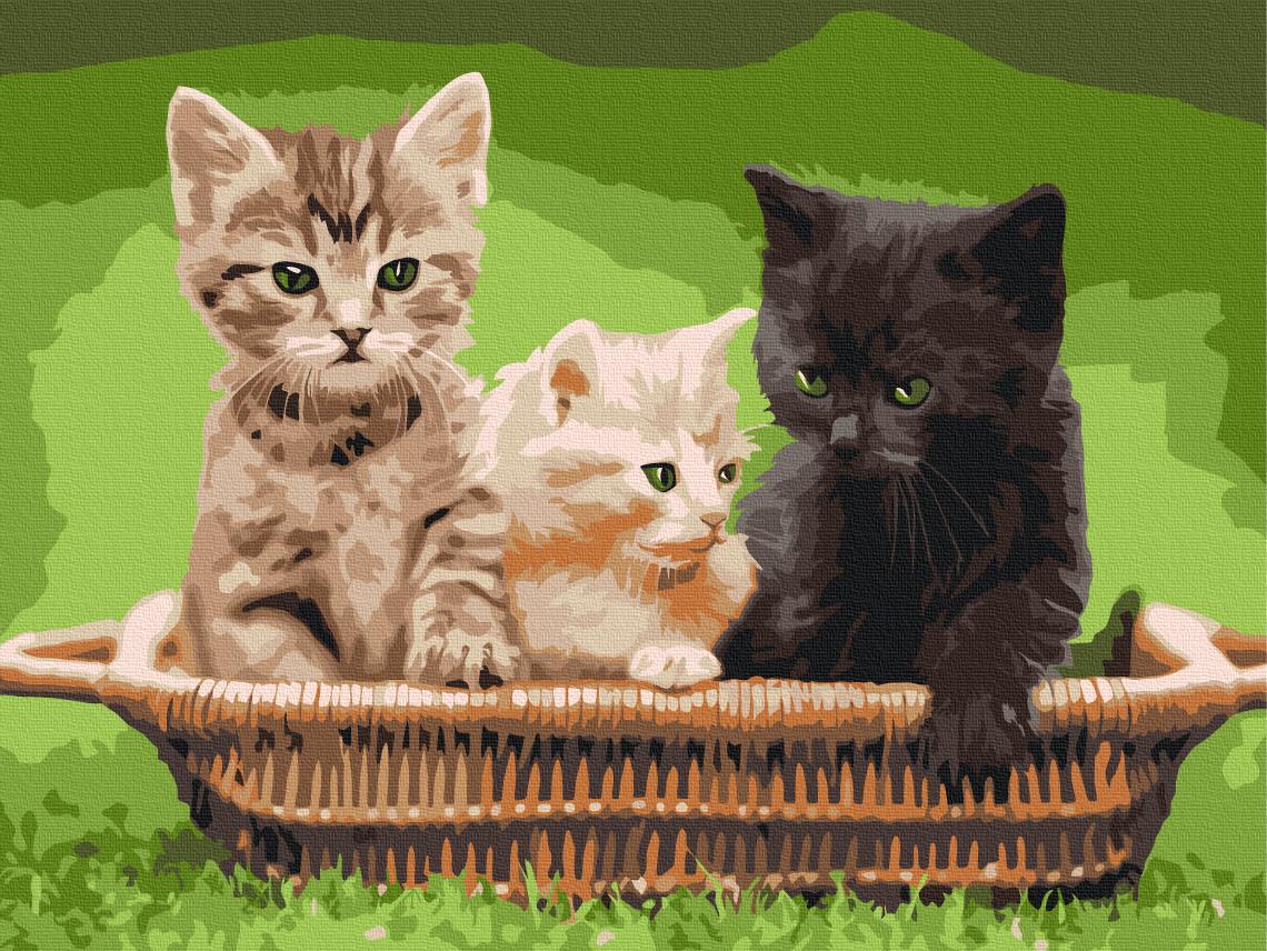 Картина по номерам Brushme Котята в корзине 30x40 см (RBS52621)
