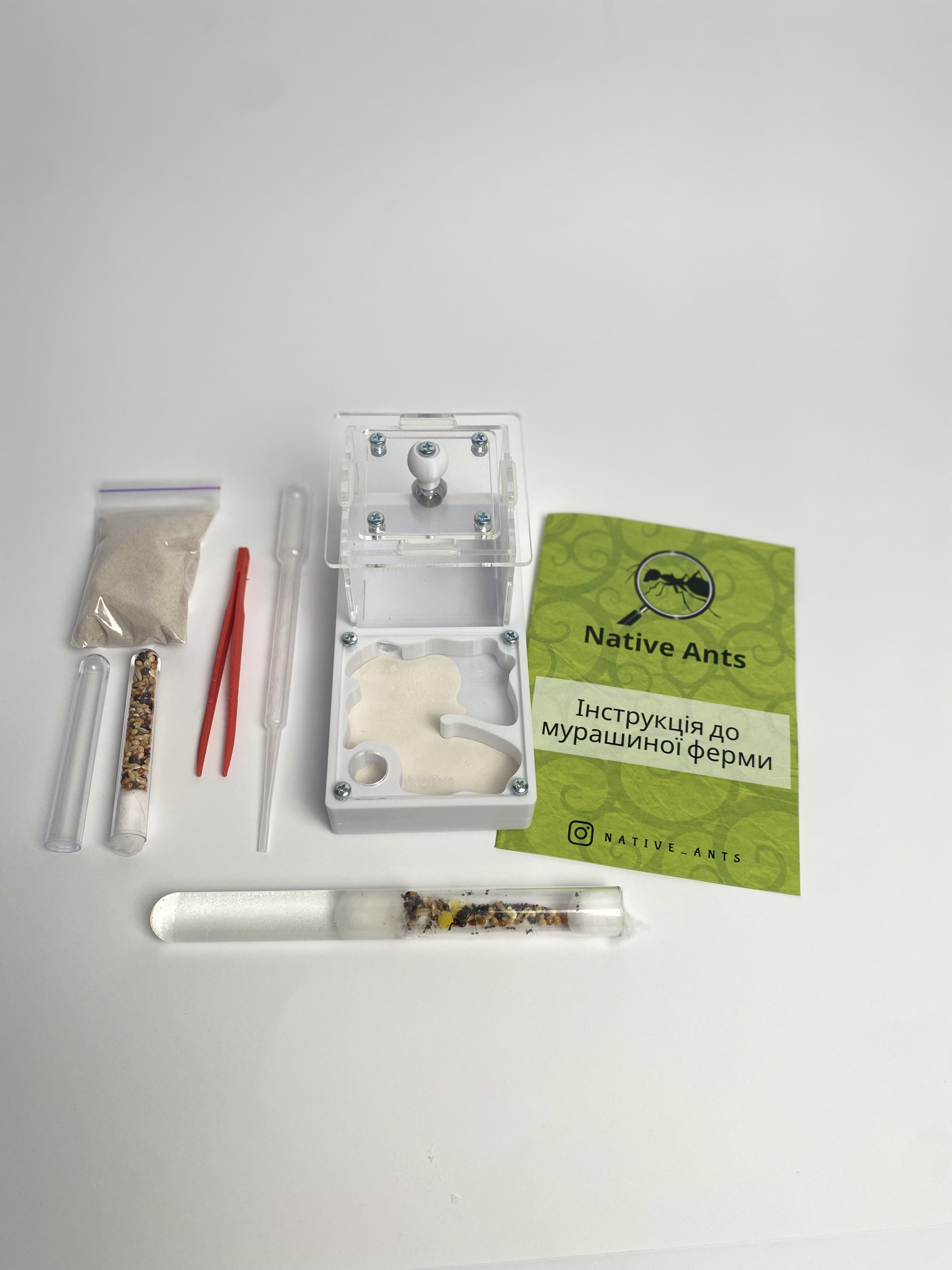 Стартовый набор для новичков Муравьиная ферма "Мини" с муравьями Messor muticus/аксессуарами и кормом Белый (2633965839)