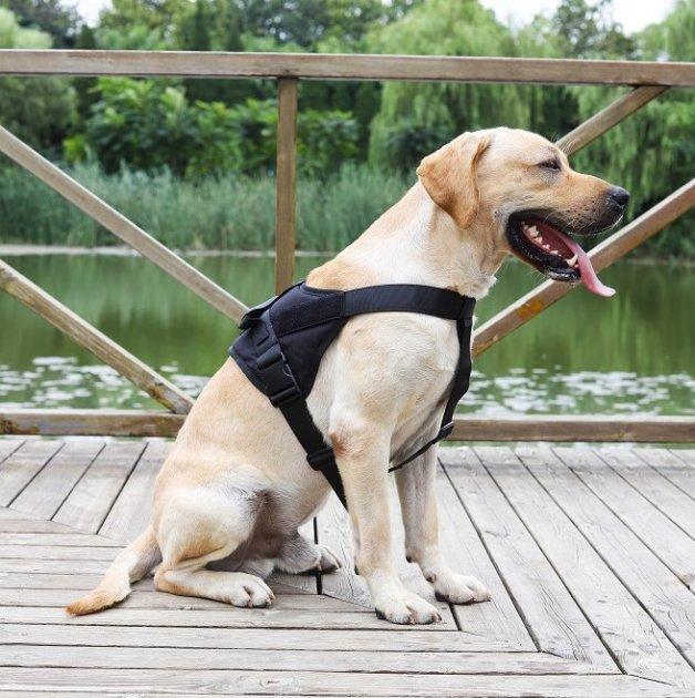 Шлея для собак Harness с ручкой M 60-75 см Черный (1603476426) - фото 2 Шлея для собак Harness с ручкой M 60-75 см Черный (1603476426) - фото 2