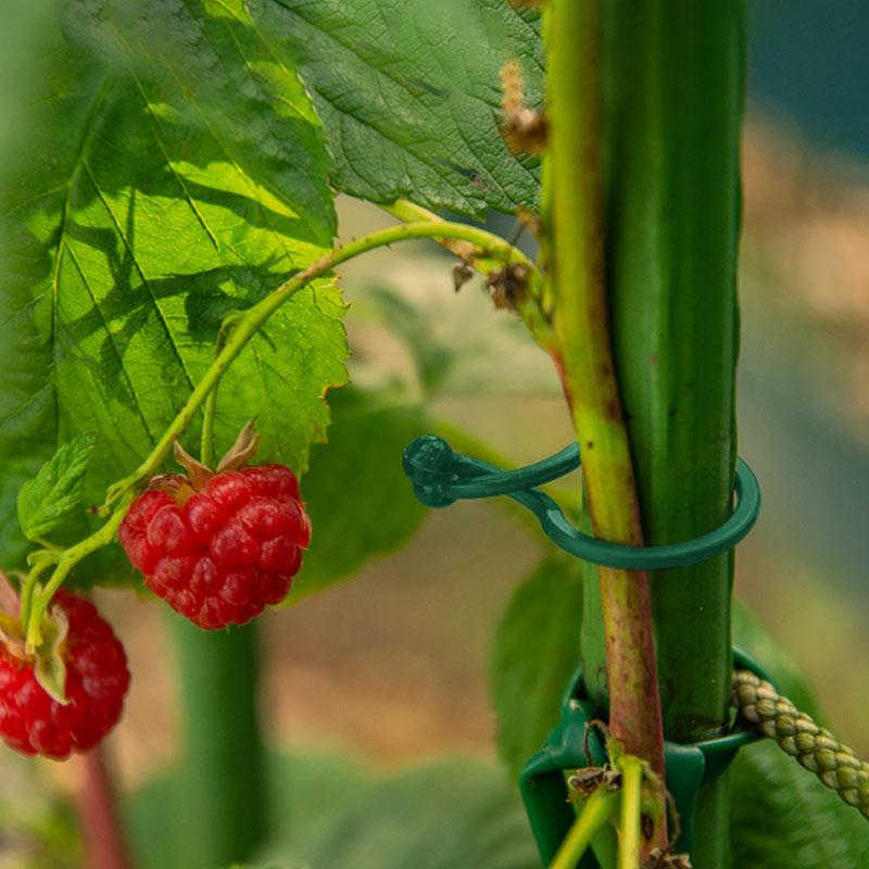 Затискачі Bradas TWIST LOCK 18 мм 50 шт. - фото 2 Затискачі Bradas TWIST LOCK 18 мм 50 шт. - фото 2