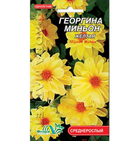 Насіння Жоржина міньйон жовта однорічник середньорослий 0,15 г (26213) - фото 1