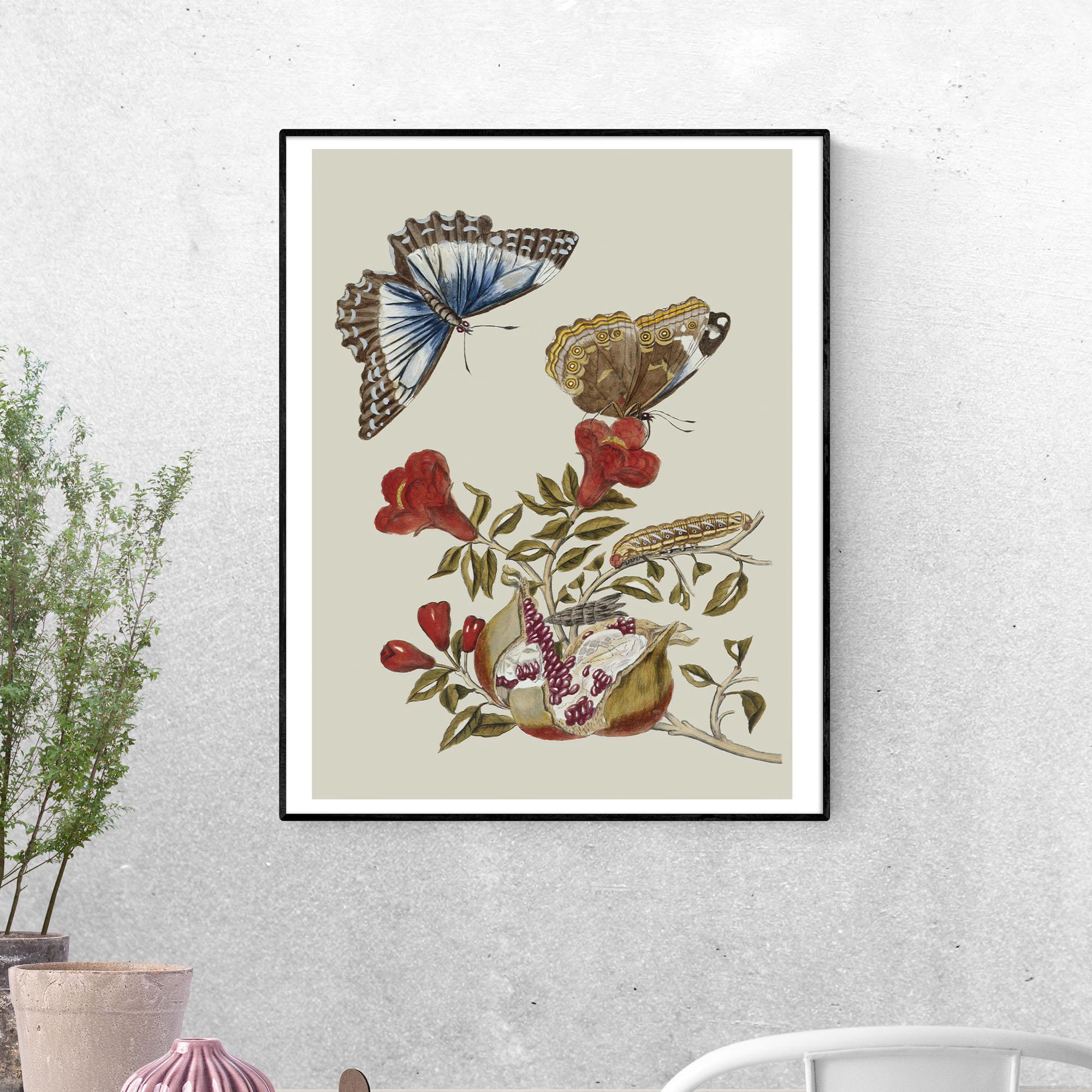 Постер Бабочка и гусеница Метаморфоз инсекториум формат А-0