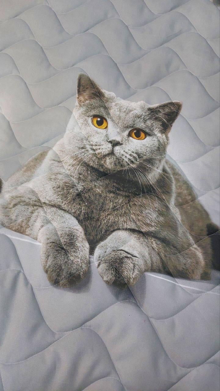 Одеяло летнее для аллергиков микрофибра полуторное 145х215 см Серый (П4К-lito-kovdra-001/16) - фото 3