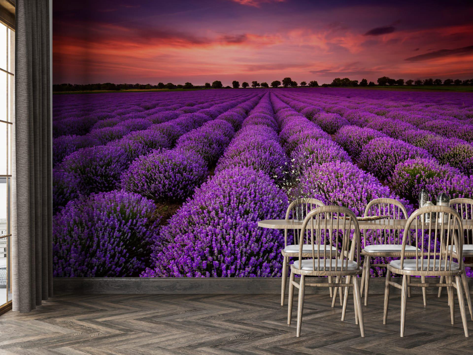 Фотообои флизелиновые Styleo Print-walls Лавандовые поля 060 400х250 см (Pw-060/4) Фотообои флизелиновые Styleo Print-walls Лавандовые поля 060 400х250 см (Pw-060/4)