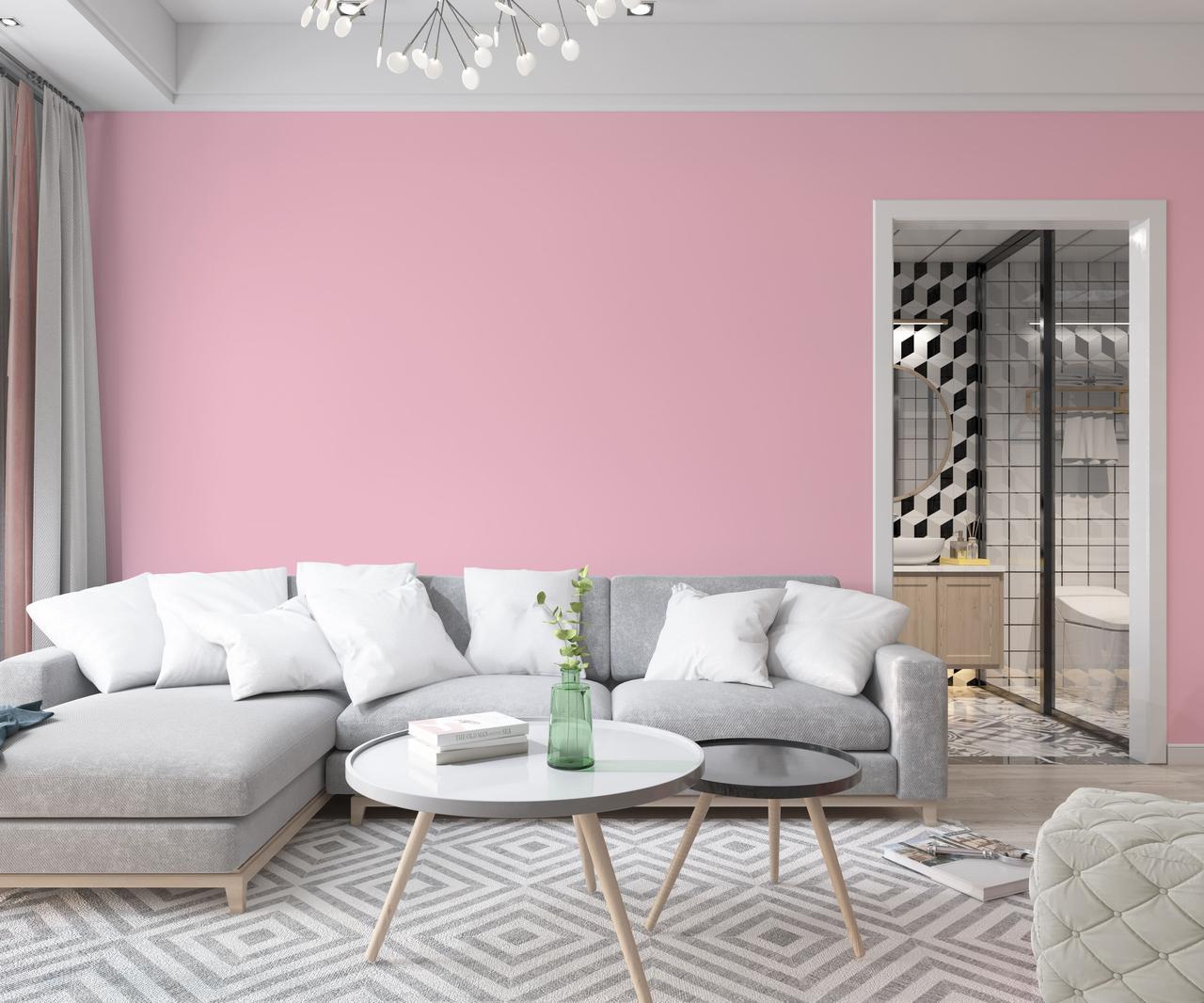 Краска интерьерная латексная Skyline 0530-R 5 л Нежно-розовый (650c0cc24bc23147a07189d9) - фото 3 Краска интерьерная латексная Skyline 0530-R 5 л Нежно-розовый (650c0cc24bc23147a07189d9) - фото 3