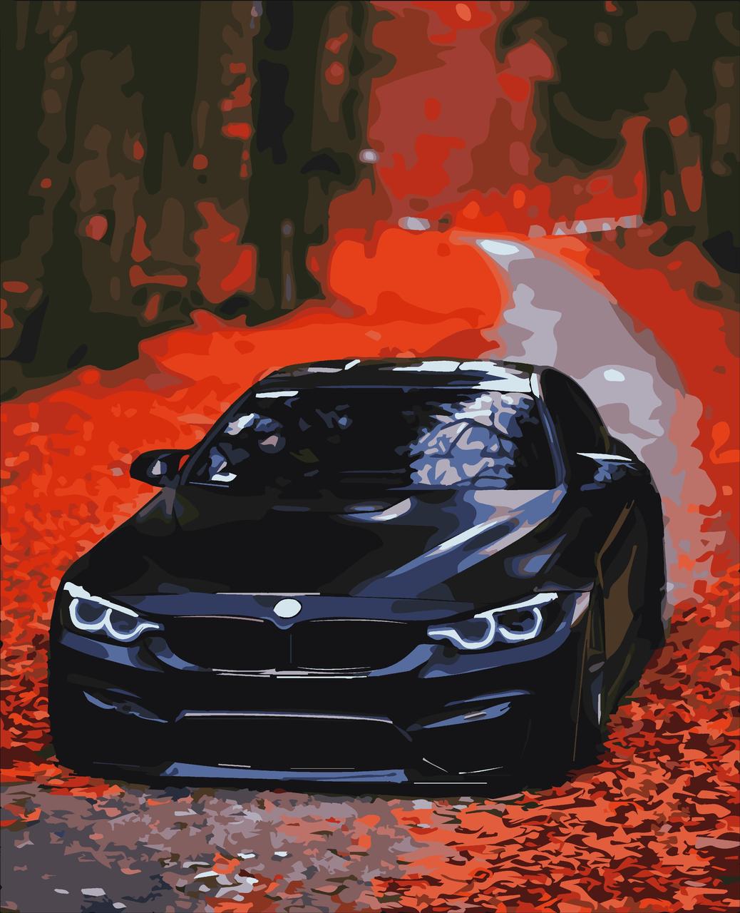 Картины по номерам Artissimo BMW холст на подрамнике 40x50 см PN9652 (2368311011)