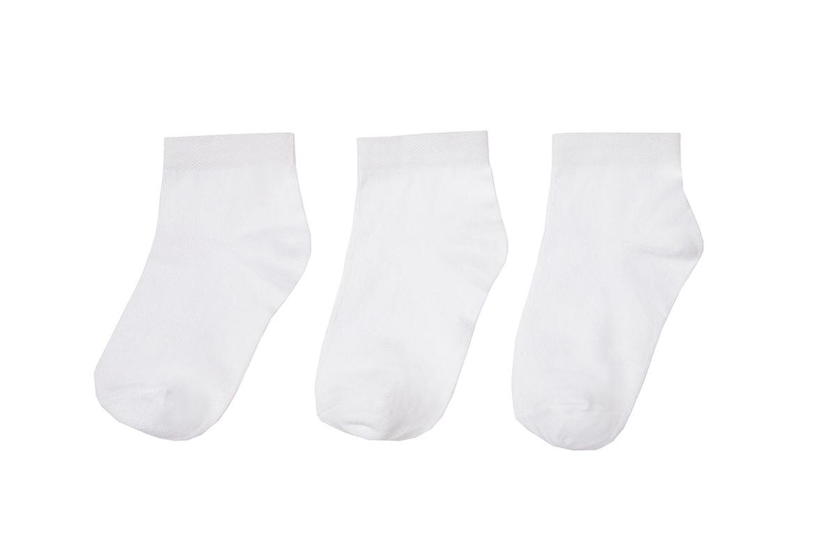 Носки детские хлопковые демисезонные универсальные Gabbi SМ-548 р. 8-10 6 пар Белый (90548) Носки детские хлопковые демисезонные универсальные Gabbi SМ-548 р. 8-10 6 пар Белый (90548)