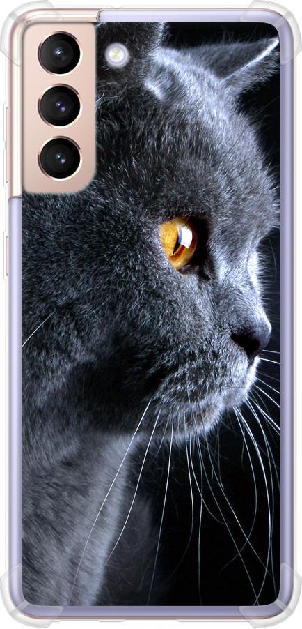 Чехол на Samsung Galaxy S21 Красивый кот (3038sp-2114-42517)