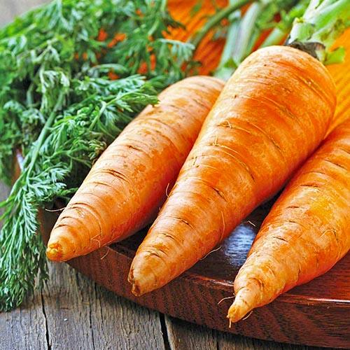 Насіння Морква Florium Шантане Роял (10744) - фото 2