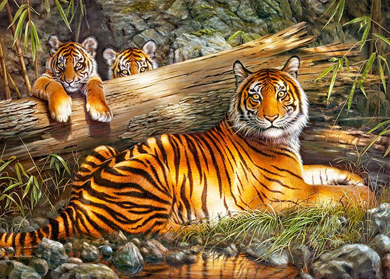 Пазли CherryPazzi «Тихий вогонь» 50x70 см 1000 деталей (30325) Пазли CherryPazzi «Тихий вогонь» 50x70 см 1000 деталей (30325)