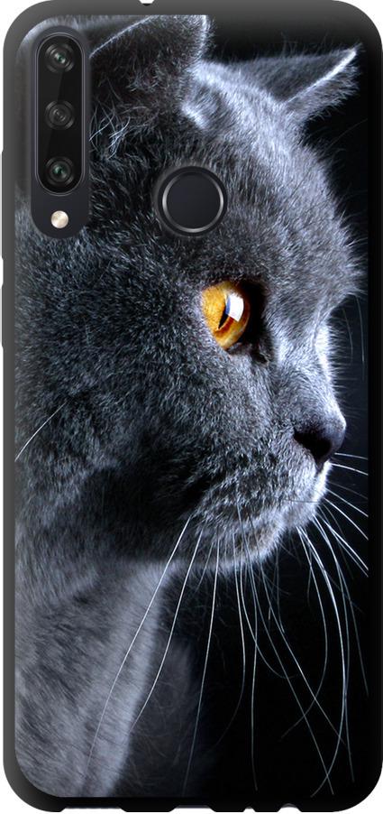 Чехол на Huawei Y6p Красивый кот (3038b-1952-42517)
