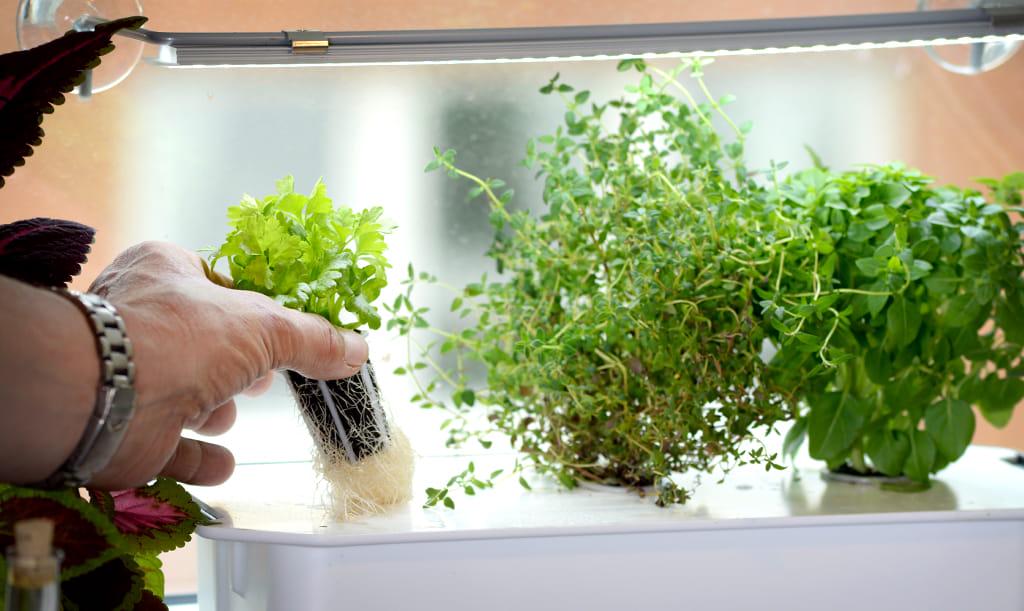 LED лампа для роста растений Nelson Garden 85 см (400022) - фото 3