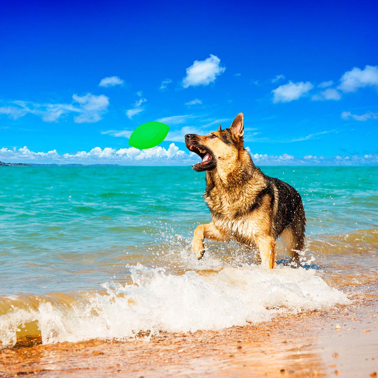 Ігровий м'яч для апортування PitchDog SPORTBALL Салатовий (62415) - фото 4