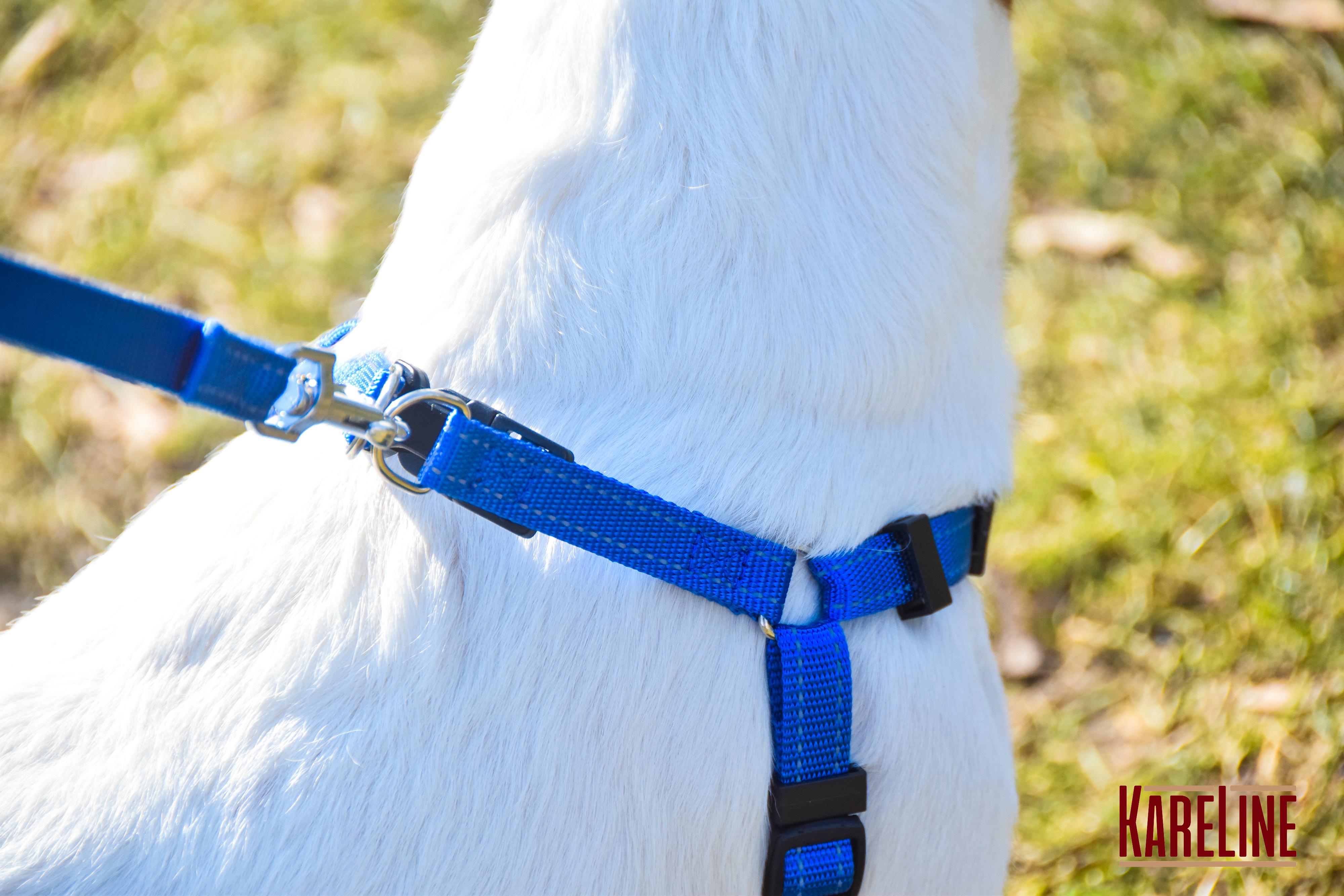 Шлея KareLine из нейлона с пластиковой пряжкой 10 мм А:240-300 мм В:260-400 мм Синий (0861/7) - фото 4