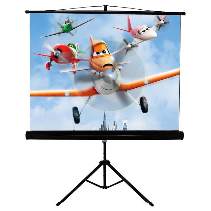 Экран проекционный на стойке Walfix 100" 200x150 см (SNT-3)