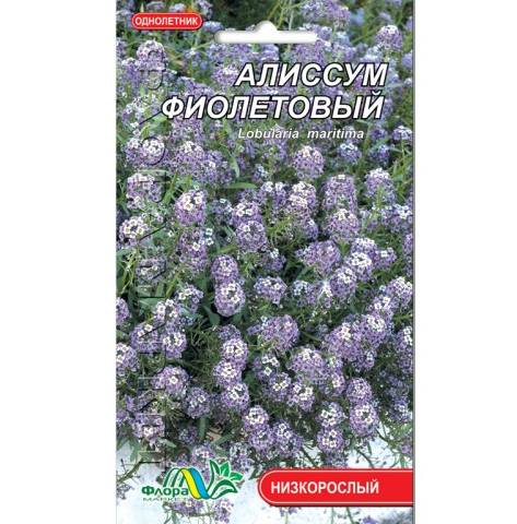 Насіння Аліссум фіолетовий однорічник низькорослий 0,1 г (26130)