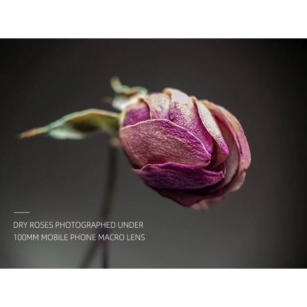 Макролинза для телефона Apexel APL-HB100CPL F1.8 10x CPL 100 мм (1863118910) - фото 3